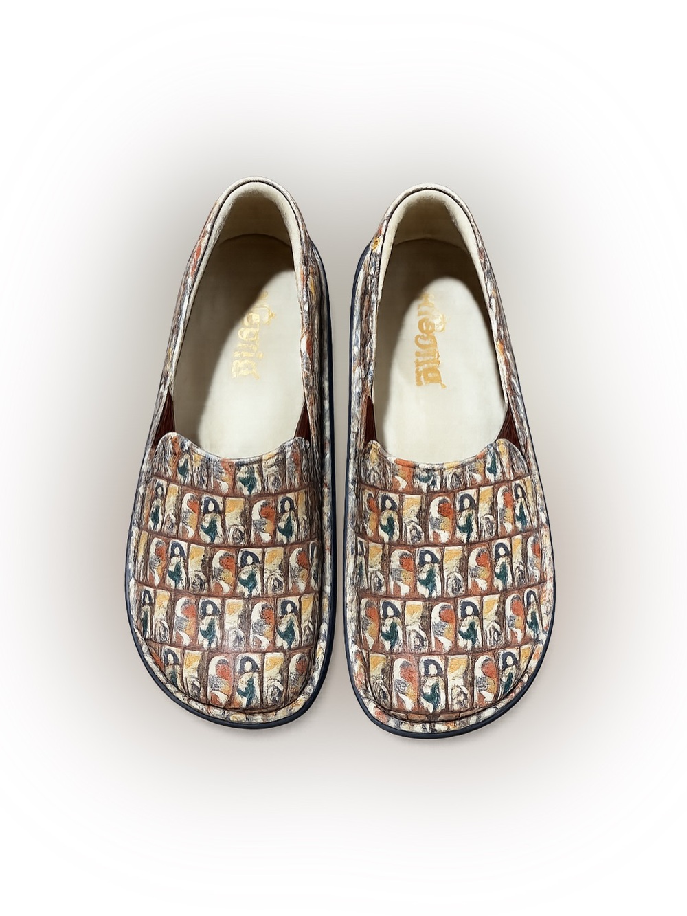 Alegria DEB-7605 Women’s Slip On Comfort Clogs Shoes EU 37 US 6.5 7 Art Print